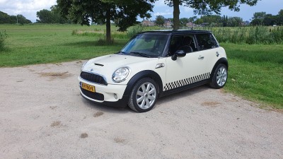 MINI-Wit-S.jpg